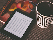 Продажи книг про игровую индустрию выросли на «Литрес» на 20%