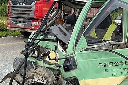 Водитель микрогрузовика погиб в ДТП на трассе в Хабаровском крае
