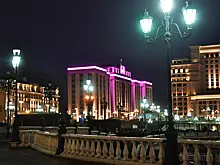 Мужчина в шапке с помпоном попытался остановить кортеж у стен Кремля