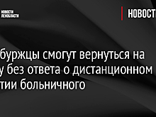 Петербуржцы смогут вернуться на работу без ответа о дистанционном закрытии больничного
