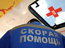 Автоюрист рассказал, как можно уменьшить число ДТП на остановках общественного транспорта