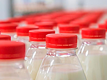 В российском регионе появился цех по переработке молока