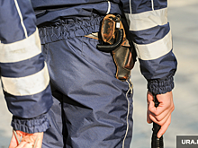 Челябинские полицейские стреляли по колесам, чтобы остановить наркомана