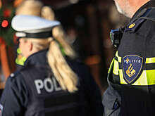 Полиция Амстердама задержала пропалестинских активистов