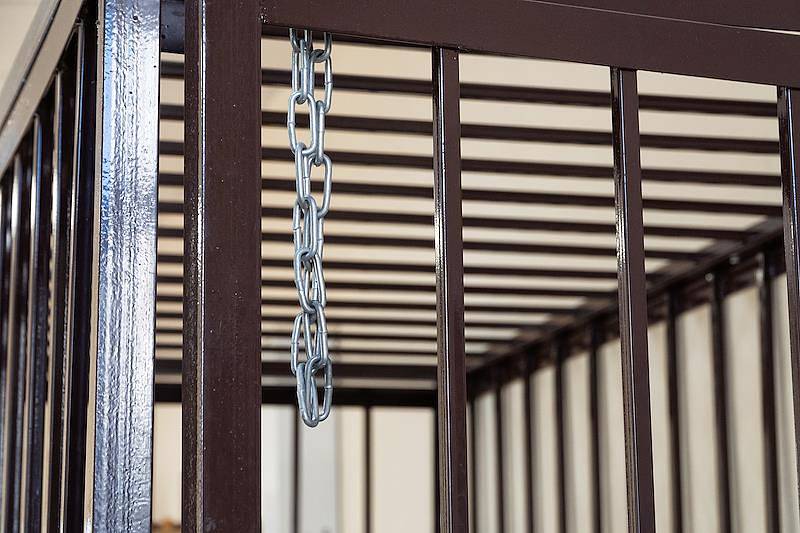 Осужденный пожизненно за расправу над 9-летней девочкой россиянин обжаловал приговор