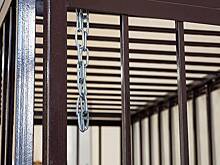 Суд приговорил красноярского художника к году исправительных работ за АУЕ-неваляшку