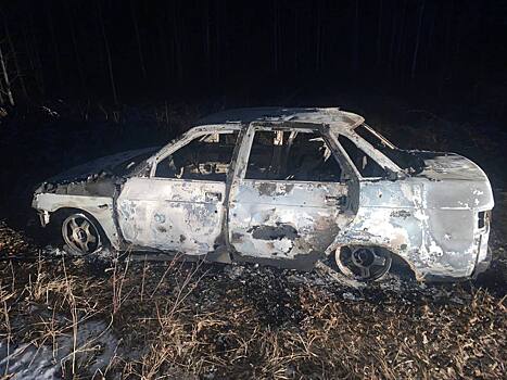 Перекупщика авто убили и сожгли ради иномарки