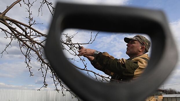 Российских дачников предупредили о вступивших в силу правилах