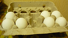 В Госдуме не испугались дефицита яиц и мяса птицы