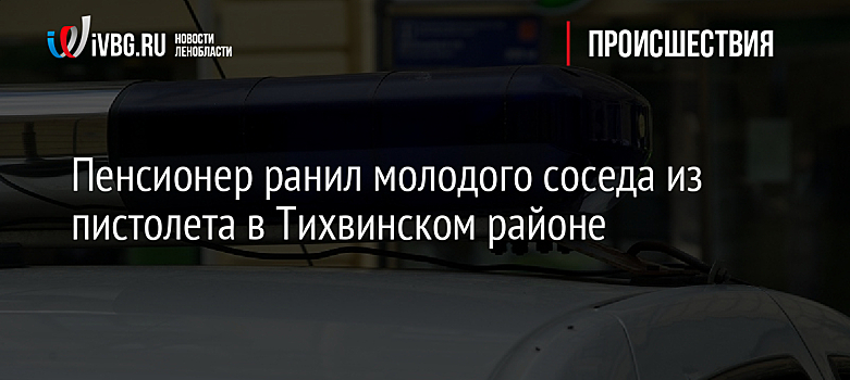 Пенсионер ранил молодого соседа из пистолета в Тихвинском районе