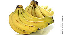Человечество предупредили об угрозе исчезновения бананов