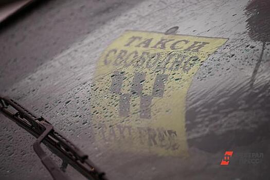 Нижегородские депутаты просят быстрее принять закон о такси