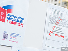 Выяснилось, сколько людей проголосовало по поправкам в Челябинске