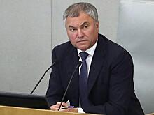 Потомки «Ночных ведьм» обратились к Володину