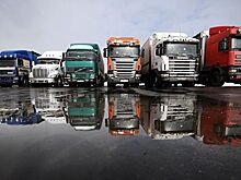 «Дочка» «Платона» станет оператором транзитных перевозок санкционных товаров