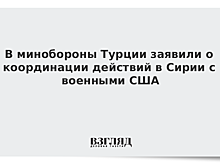Эксперт оценил ситуацию с обстрелом военных США в Сирии