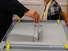Для иностранных агентов в регионе введён ряд ограничений на выборах