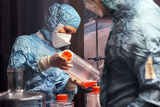 В России оценили перспективы создания вакцины от индийского вируса Нипах