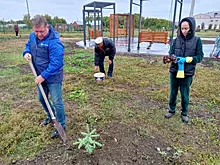 Каждый житель Нижнего Санчелеево посадит дерево, чтобы сделать самый зеленый парк в Самарской области