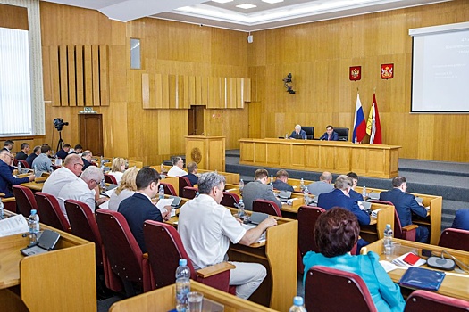 Спикер Воронежской облдумы Нетесов рассказал о продлении срока выплат для многодетных взамен участков