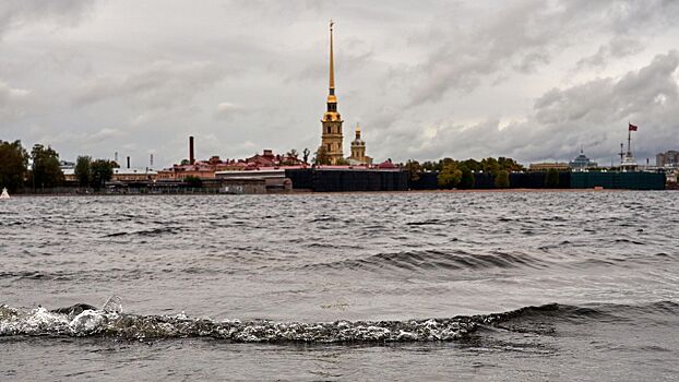 Циклон Rixa принесет в Петербург ледяной дождь и повышение уровня воды в Неве