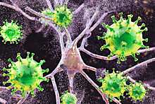 Ученые рассказали о симптомах индийского штамма коронавируса