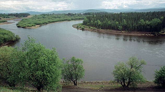 Разлив нефти произошел в Новосибирской области