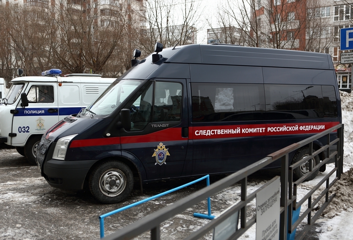 В Омской области водитель намеренно сбил двух братьев — один мужчина погиб