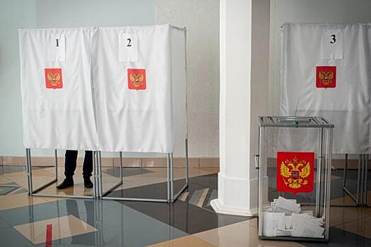 Разбор кандидатов: за кого будет голосовать Поволжье на выборах в Госдуму