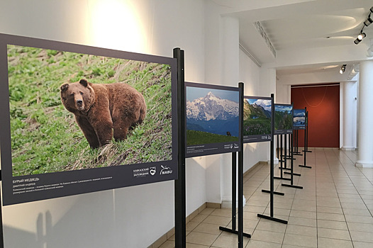 В Майкопе открылась фотовыставка о природе Кавказа