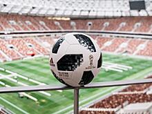 Почему журналист «Красного Севера» не посетит чемпионат мира по футболу-2018?