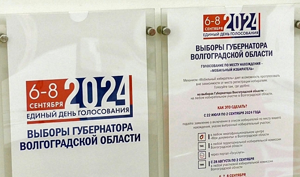 Волгоградские общественники оценили ход электорального процесса – 2024