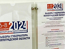 Волгоградские общественники оценили ход электорального процесса – 2024