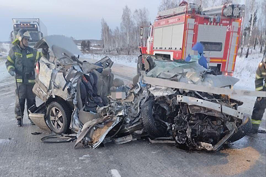 Трое детей и мужчина погибли в ДТП с грузовиком под Иркутском