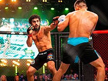 В игорной зоне "Красная Поляна" пройдет международный турнир по MMA