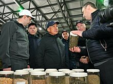 Рустам Минниханов оценил ход весенне-полевых работ в Чистопольском районе