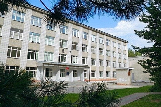 Новосибирцы требуют от властей отказаться от сноса здания физматшколы