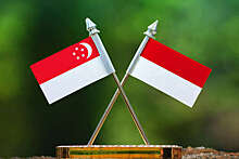 Индонезия и Сингапур обсудили сотрудничество в военной сфере