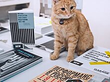 Книги со всего света и "Худпром Конго": что Музей "Гараж" готовит на Ночь музеев
