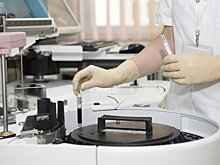 Число ульяновских курсантов с личинками в легких удвоилось