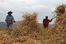 В Руанде хотят построить завод смешанных удобрений