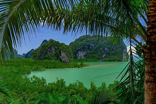 Семь человек пропали без вести после крушения вертолета в лесах тропического острова