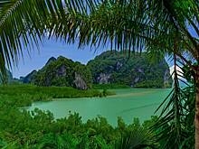 Семь человек пропали без вести после крушения вертолета в лесах тропического острова