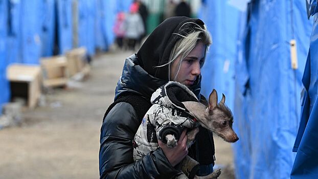Польша отказалась от выплат пособий украинским беженцам
