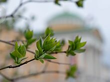 За апрель в Удмуртии были поставлены три абсолютных климатических рекорда