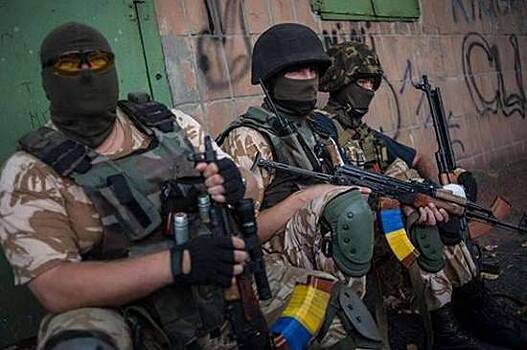 НАТО поможет украинским силам спецопераций