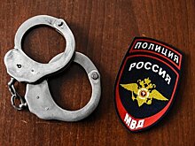 В Подмосковье задержали подозреваемых в краже девяти тонн сыра