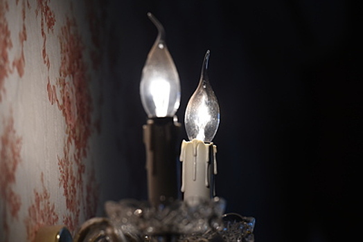 Несколько СНТ в Богородском округе останутся без света 14–15 декабря