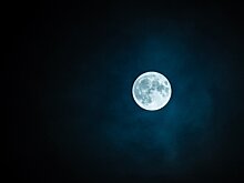 ТАСС станет партнером Высшей школы медиа Сибирского федерального университета