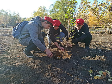 В Гайском «Саду памяти» высадили 100 молодых яблонь